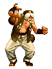 KOF 96